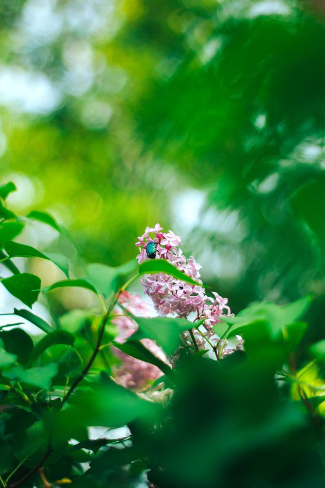 Photograph by Константин Кузнецов