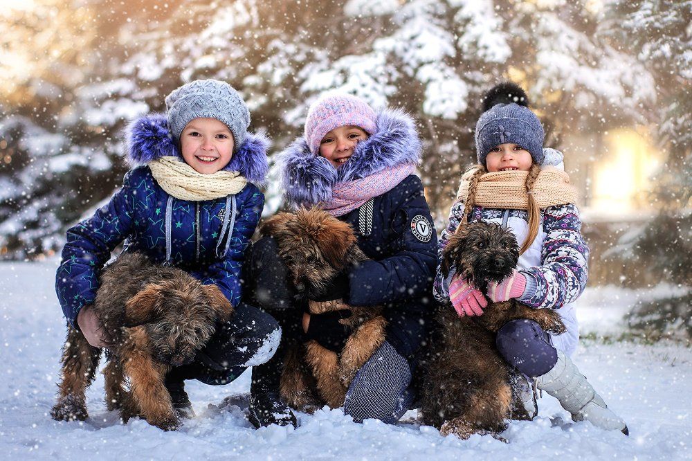 Новые друзья