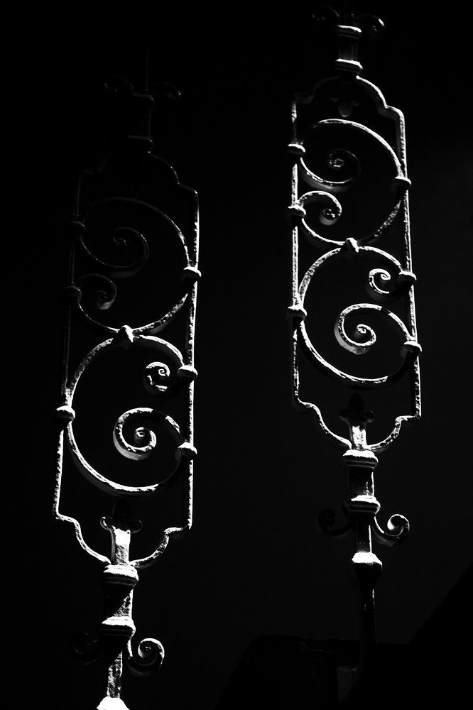 detail of the fences