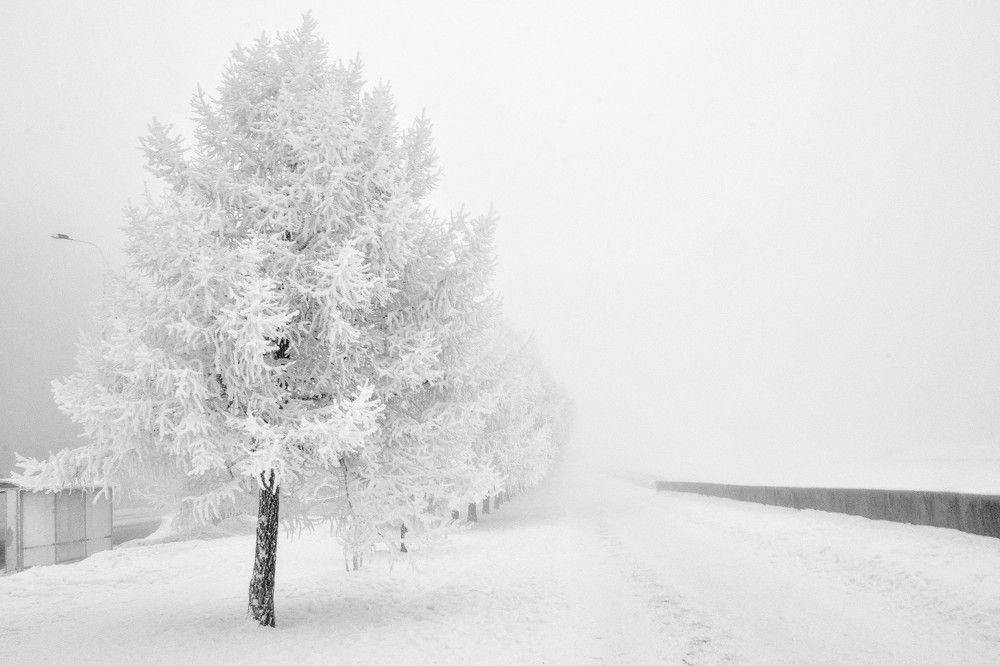 Туман+мороз=иней