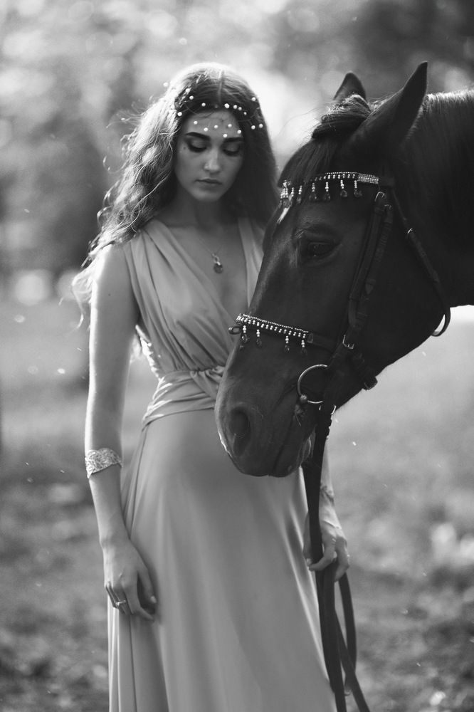 meeting in the forest