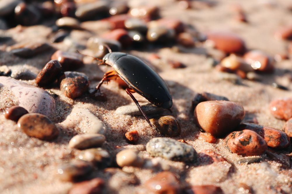 Photograph by Карина Хаустова