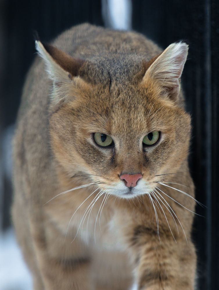 Photograph by Alex Dushutin