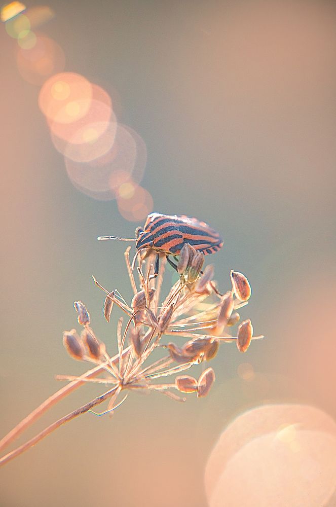 Photograph by Олеся