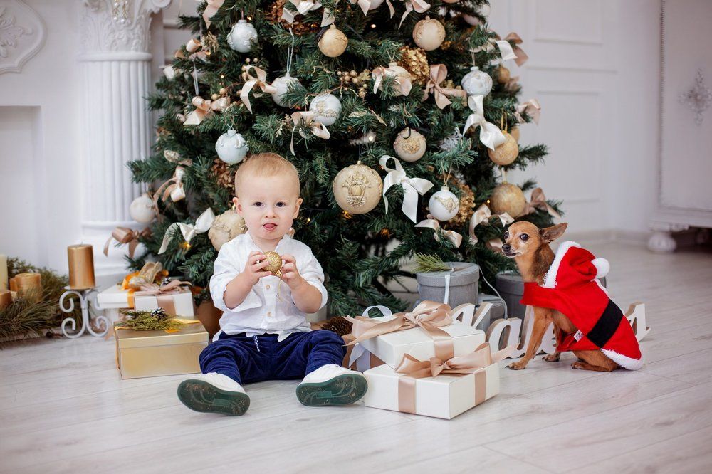 Photograph by Agne Povilaikaite