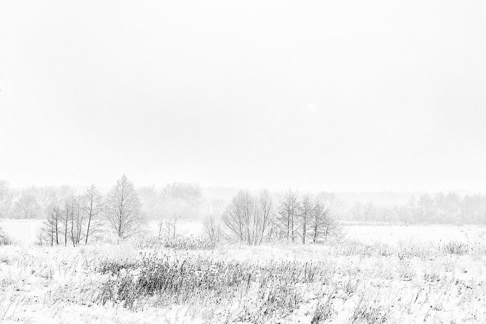 Туманное утро