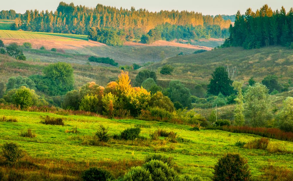 Photograph by Павел Великодский