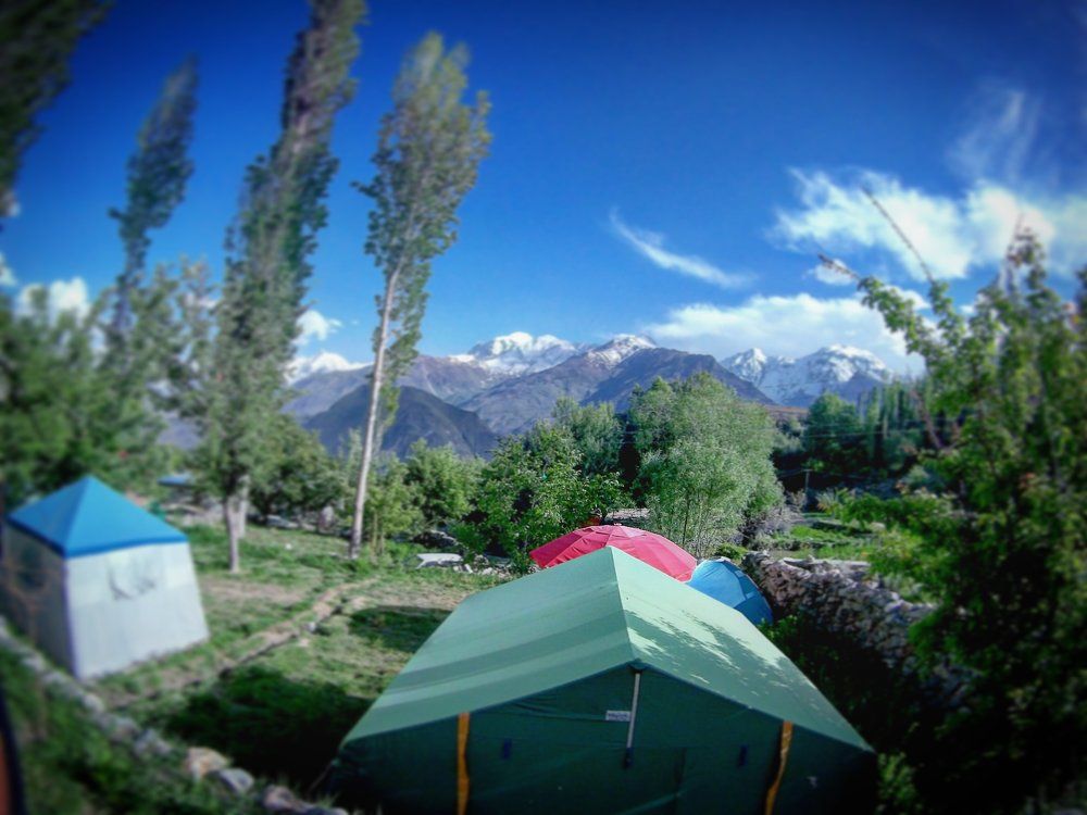 Duiker, Hunza, Gilgit-Baltistan, Pakistan