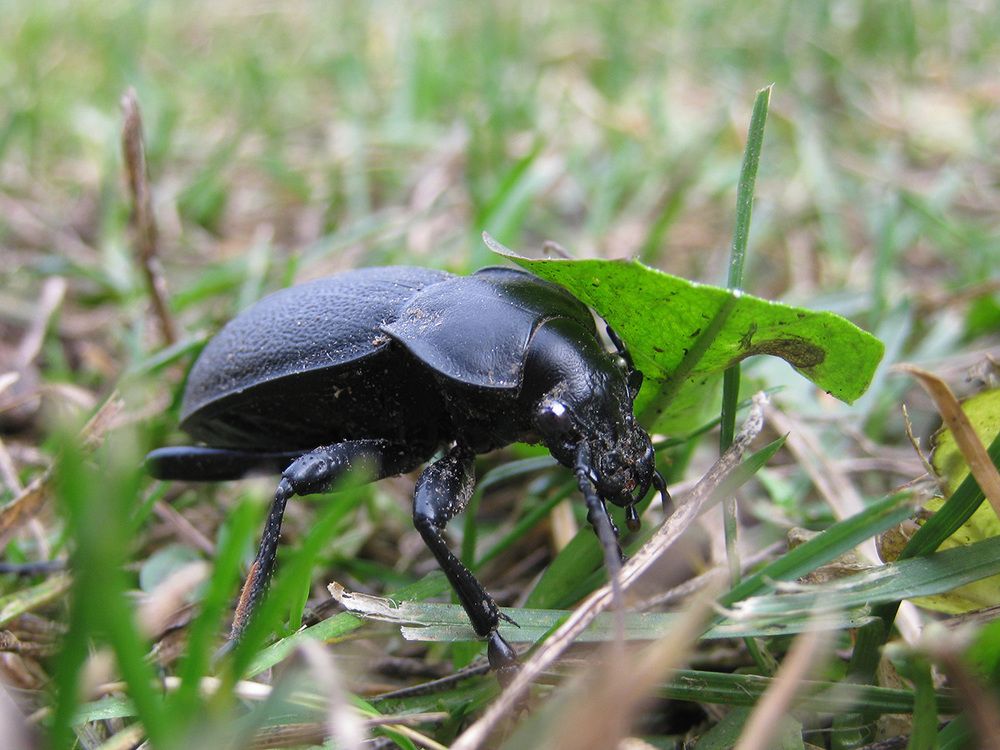 Photograph by Владимир