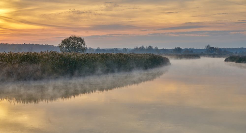 утро на реке, осень 2018