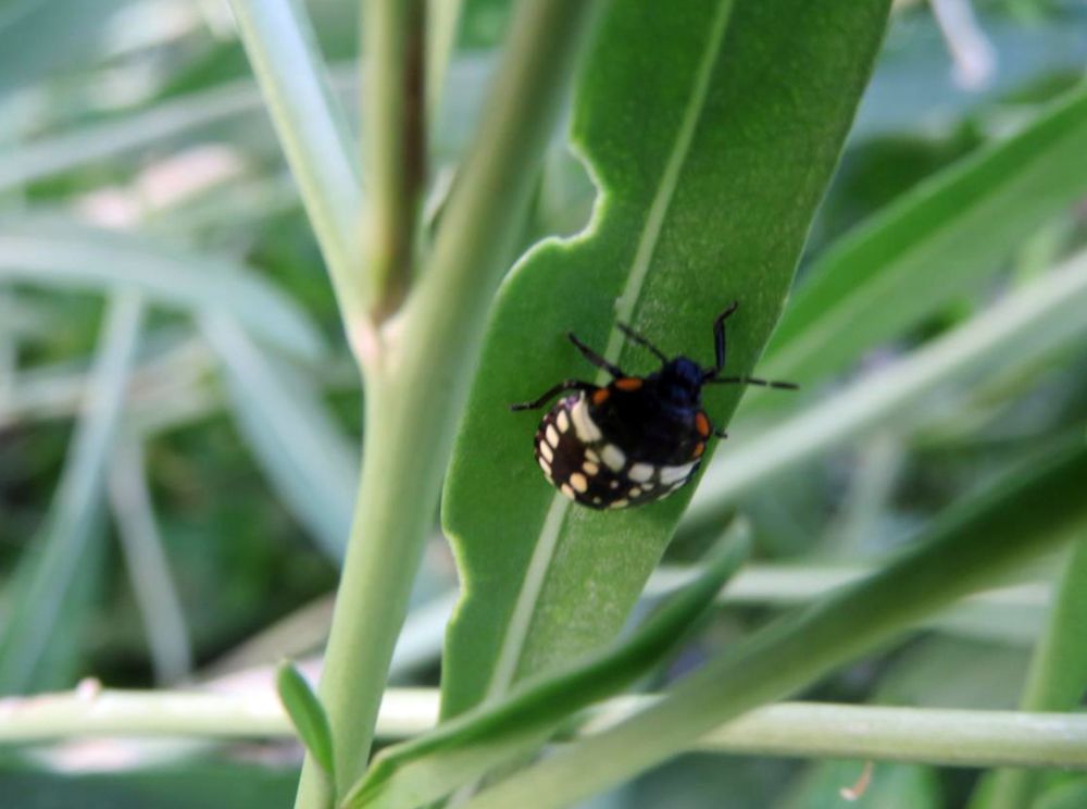 Alway is beautiful thing to watching  the increadible nature moment.