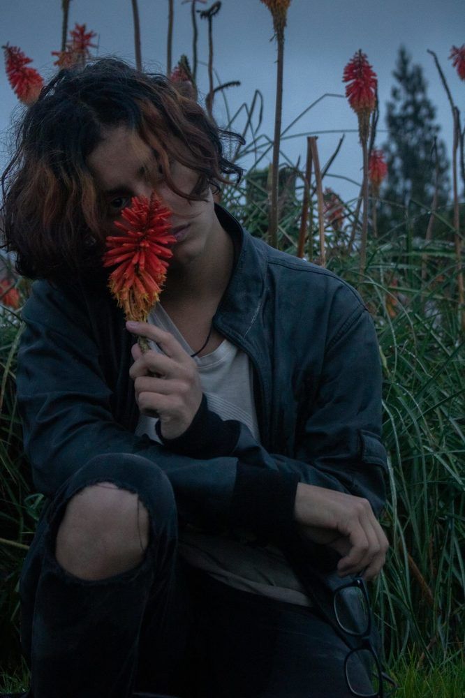 Delicacy and madness