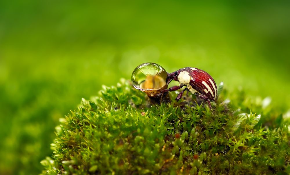 Photograph by Тараненко Анжелика