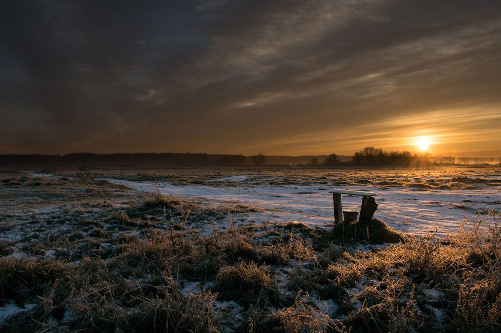 Садитесь поудобней
