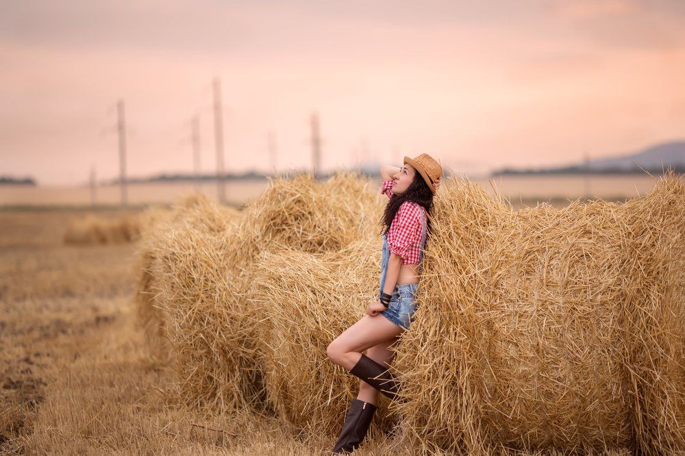 уборка урожая