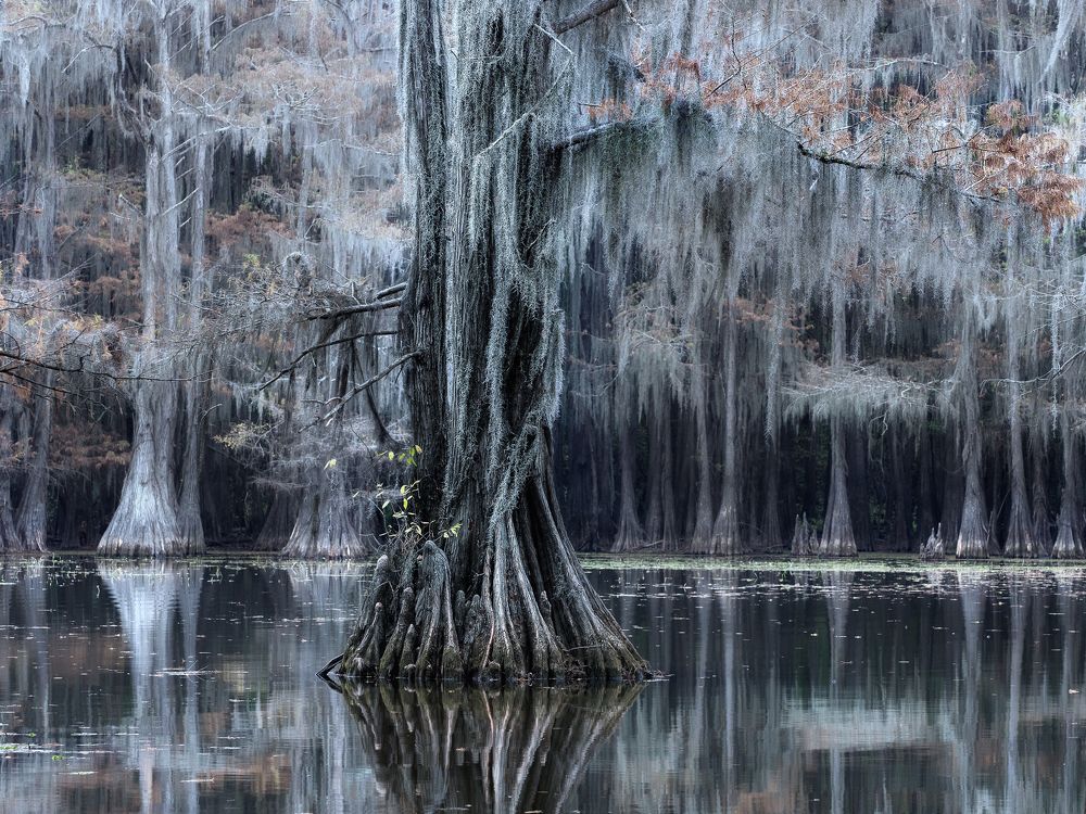 Зазеркалье