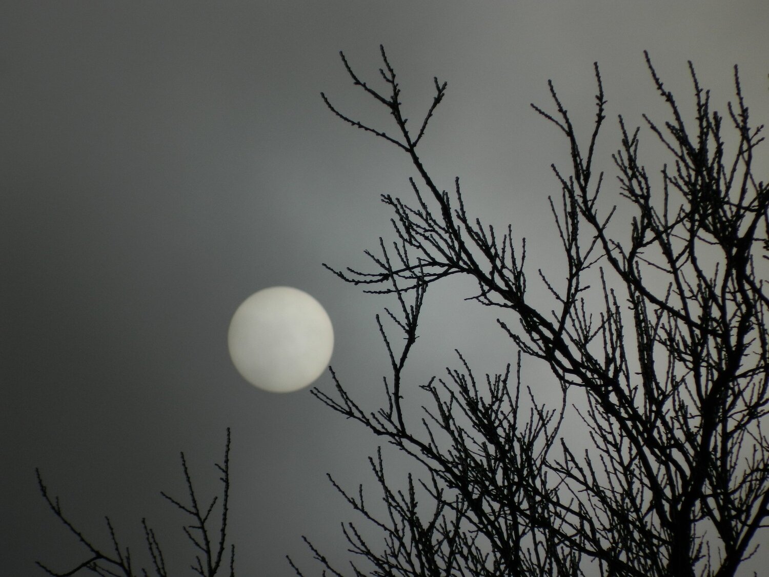Photo #2738812