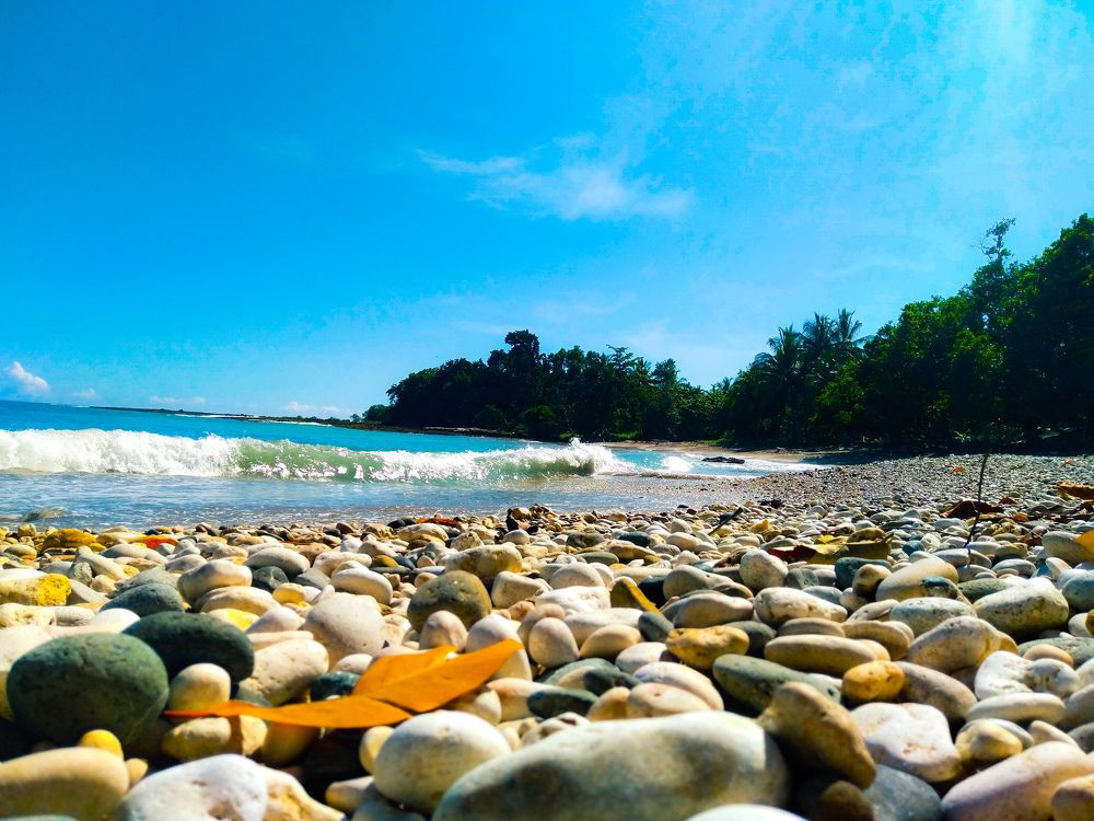 Pebble beach