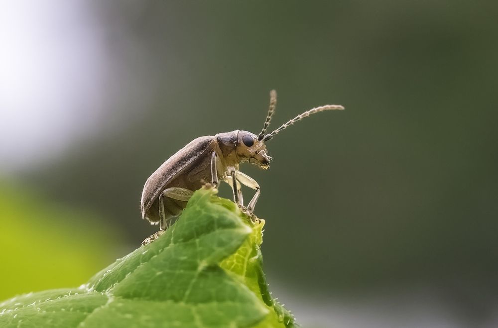 Photograph by Andrey Rut