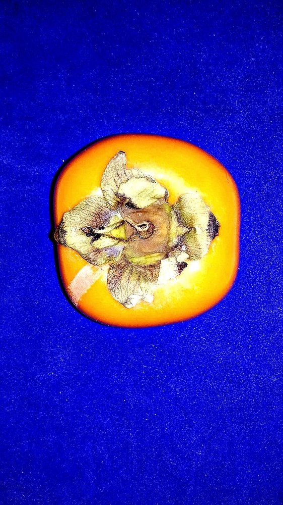 Photograph by Kandubasha