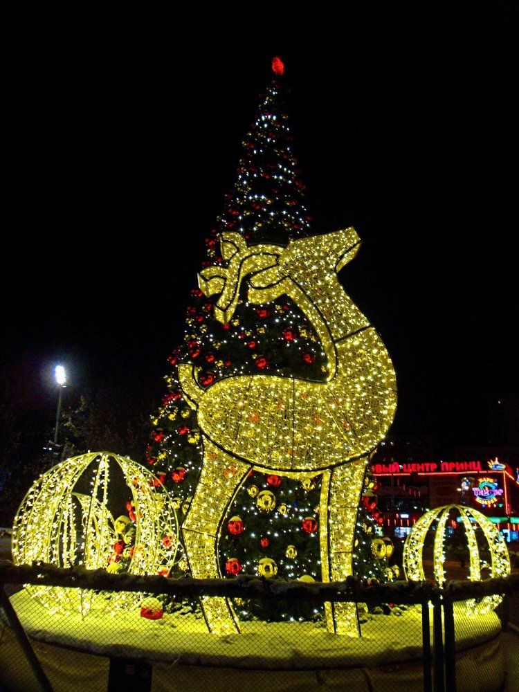 Photograph by Анастасия