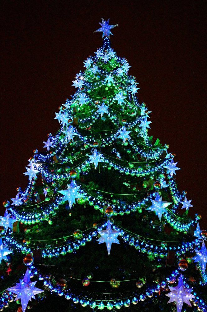 Photograph by Анастасия