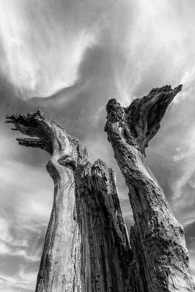 Ника нерукотворная