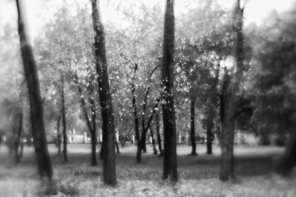 Частокол и брызги