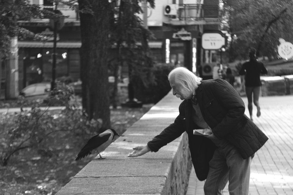 Meeting old friends / Встреча старых друзей