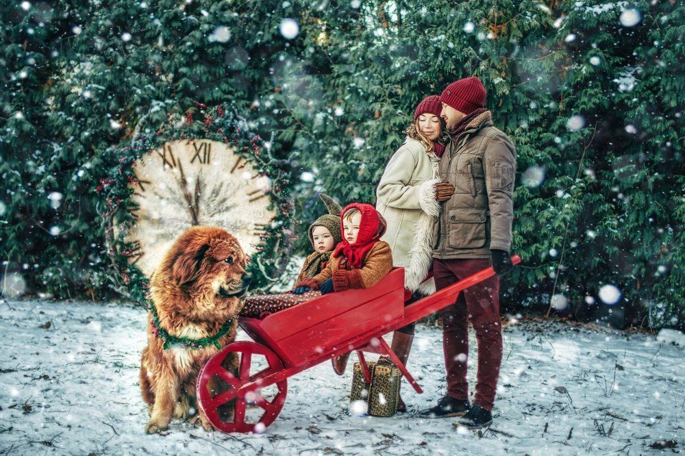 Photograph by Владимир Гордеев