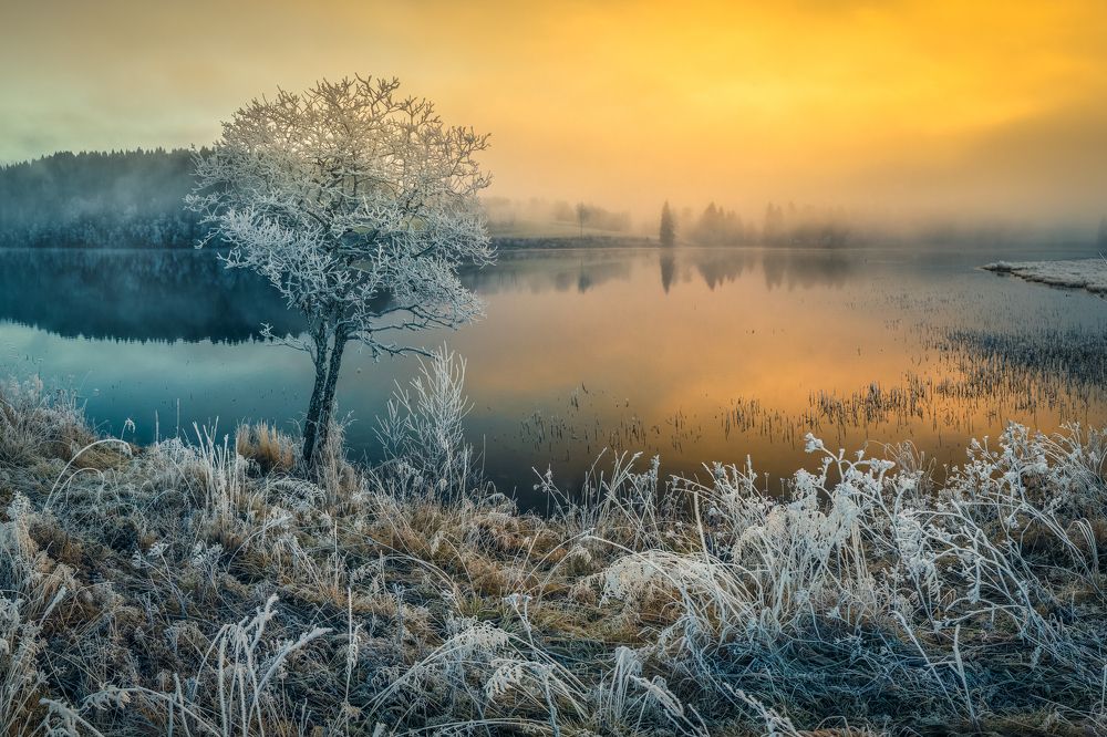 Frosty sunrise