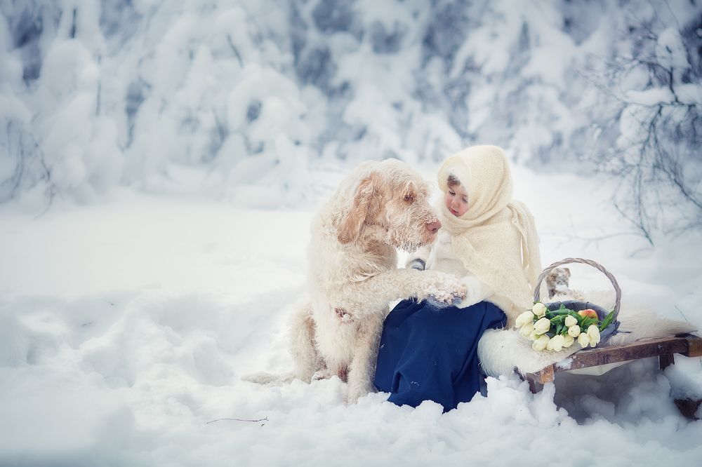 Зимняя сказка