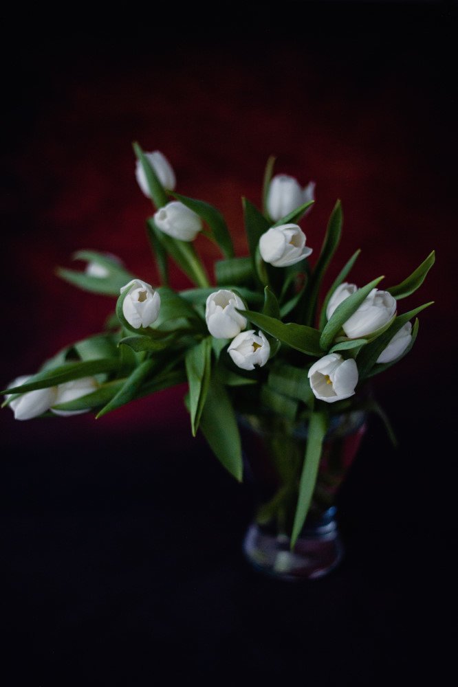 Photograph by Екатерина Корчик