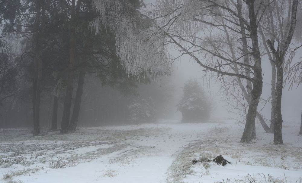 Туманный рассвет