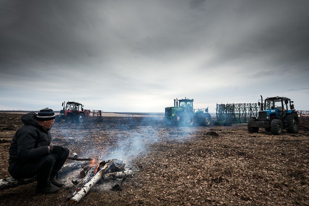 Посевная. Ночной сторож...