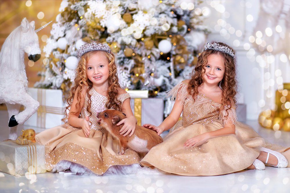 Золотые снежинки и символ 2019 года