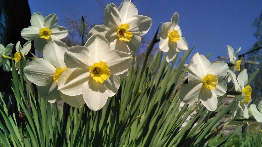 Мобильные нарциссы
