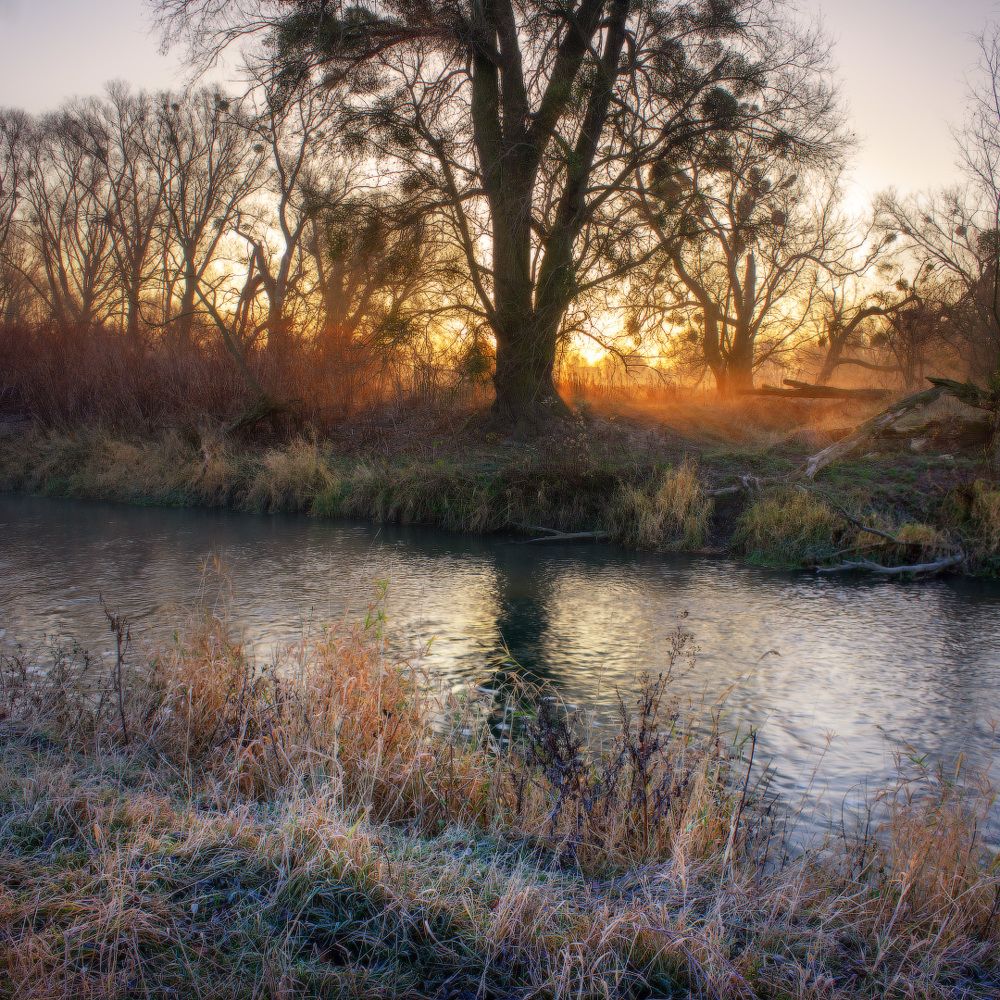 Морозное утро на реке