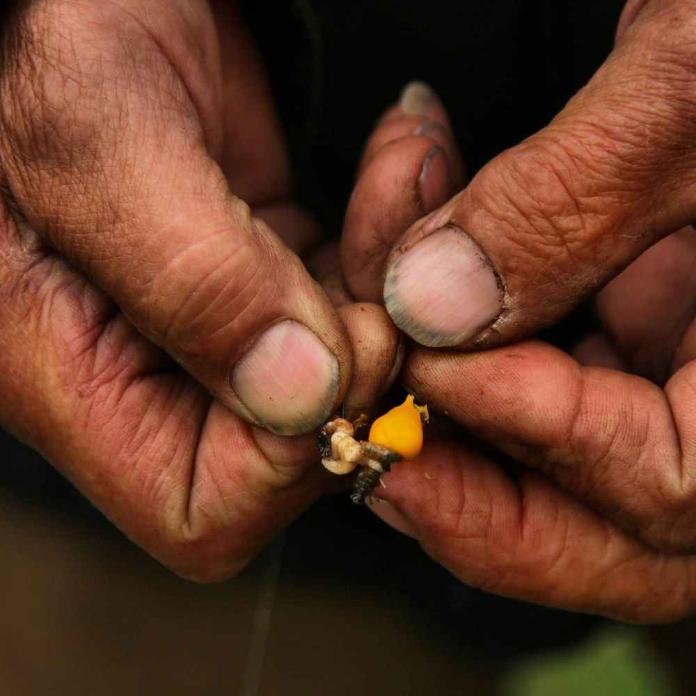 Руки рыбака