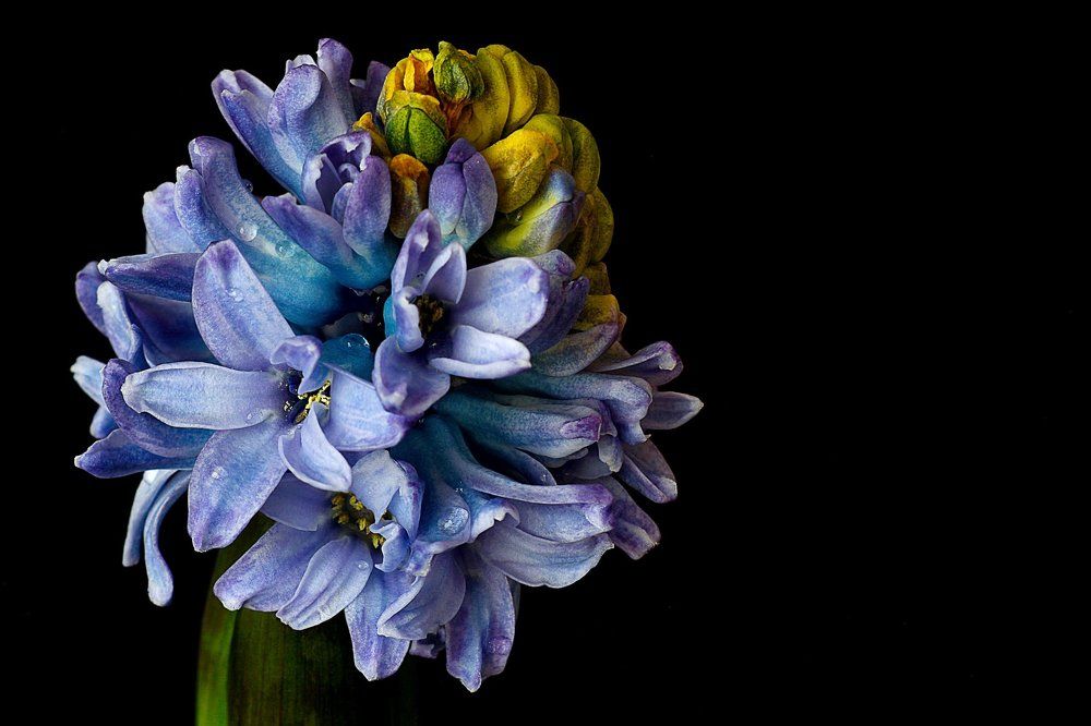 Photograph by Артур