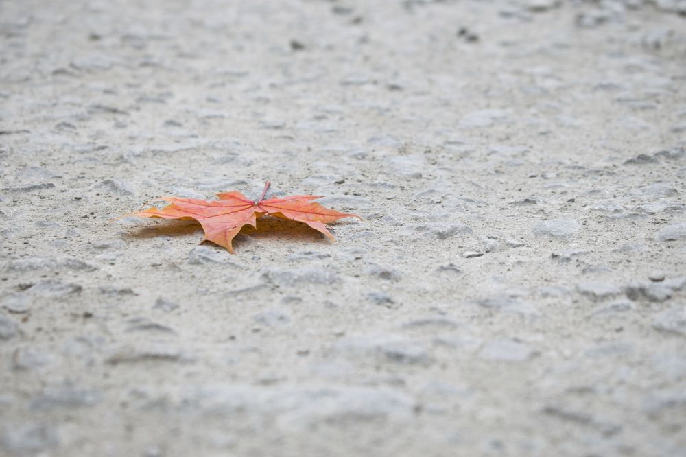 Photograph by Елена Павлова