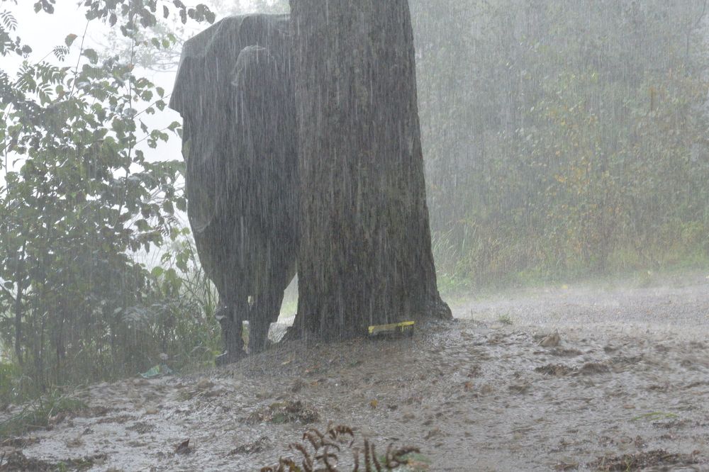 Deluge.Tourist route.