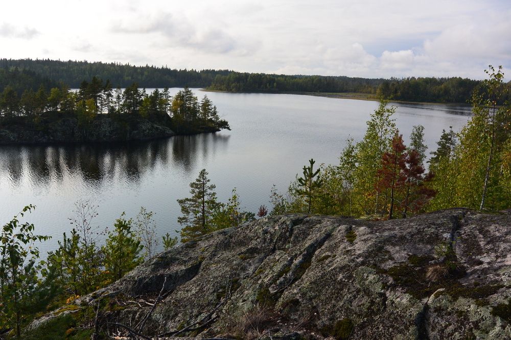 Look giving the soul the joy of life.