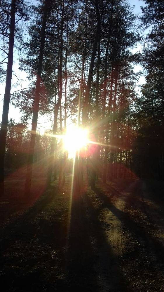 Photograph by Татьяна