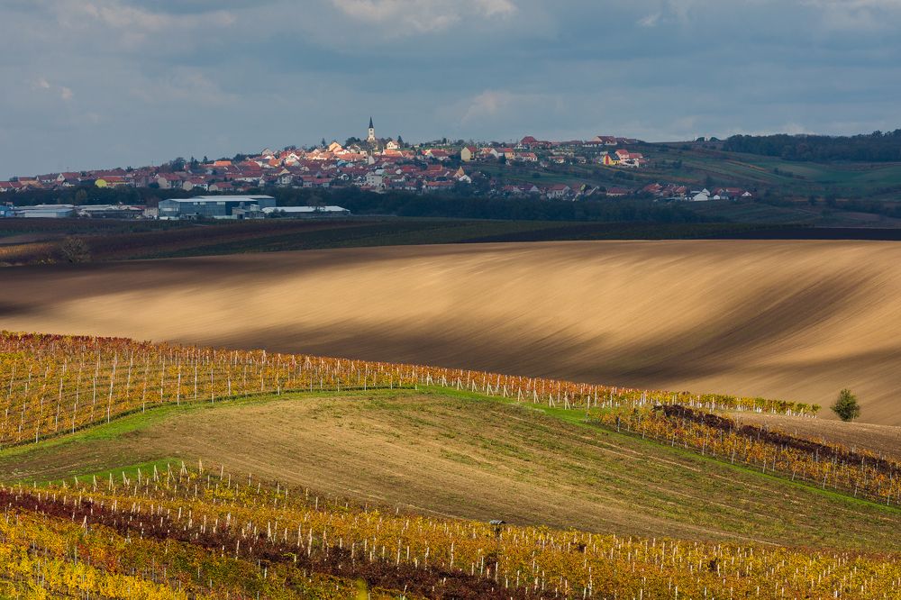 Осень в Южной Моравии