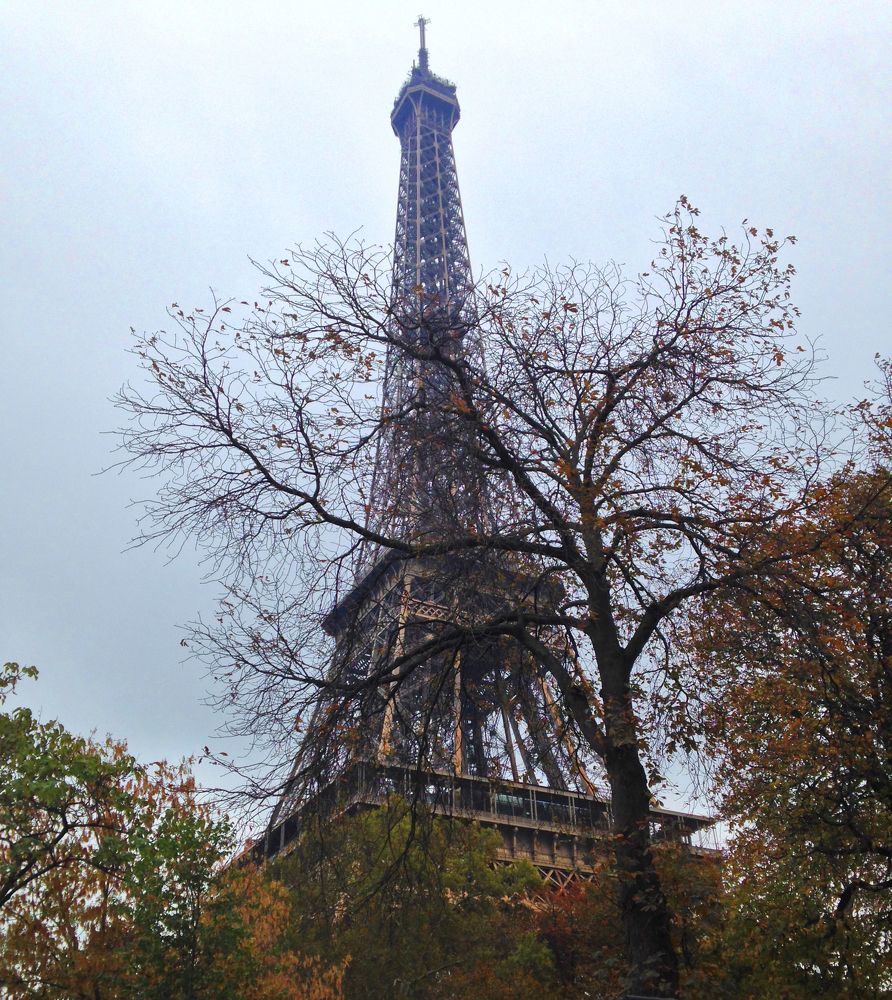 Autumn In Paris