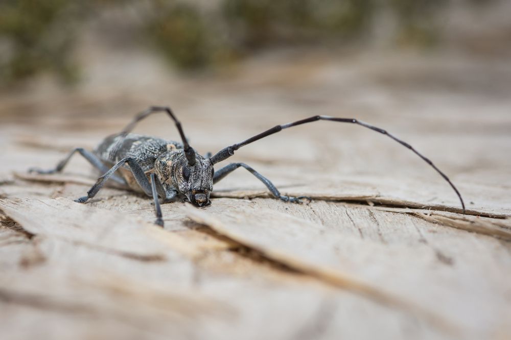 Photograph by Сергей Ослопов