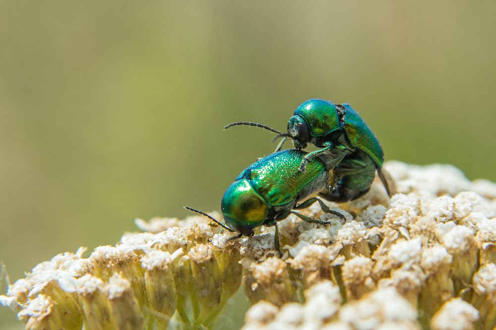 Photograph by Сергей Ослопов