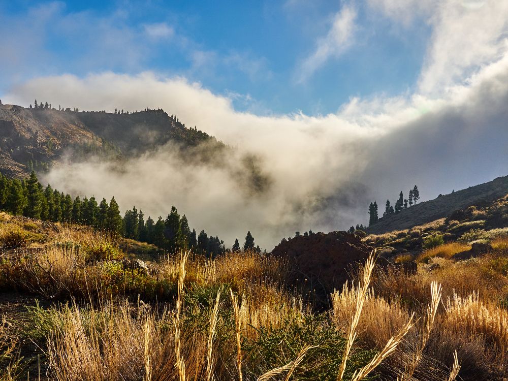 Clouds are coming...