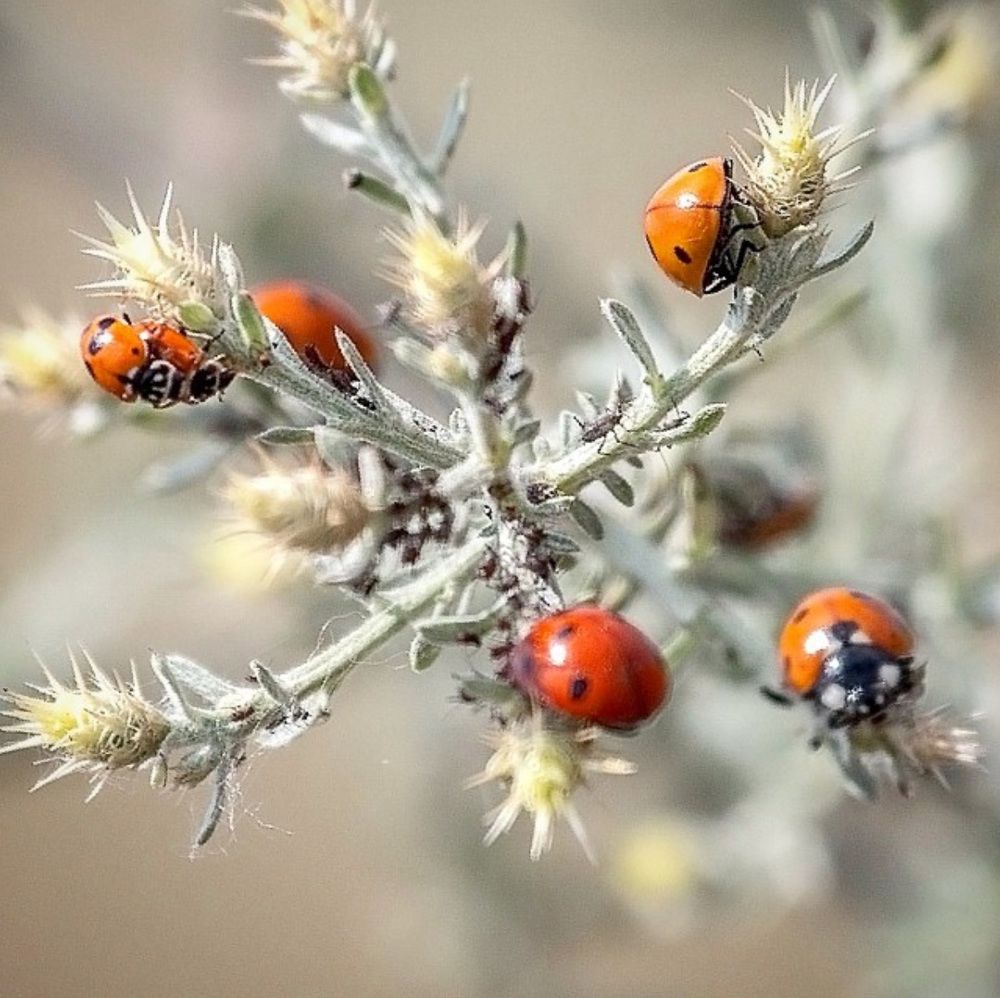 Photograph by Zzooouhh